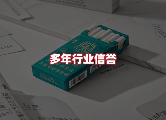 专业团队
